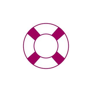 SNSTR ELF's emblem