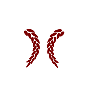 Zz Woodddyyy zZ's emblem
