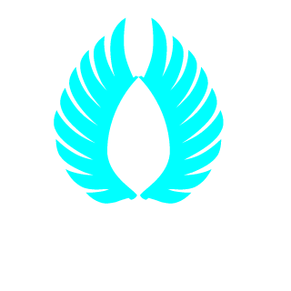 3rr0r-Guy's emblem