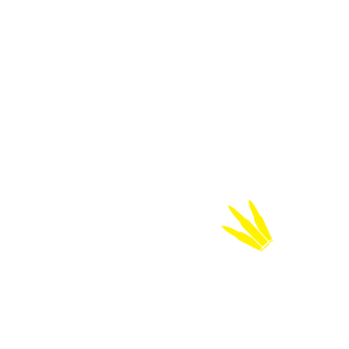 wolflink141's emblem