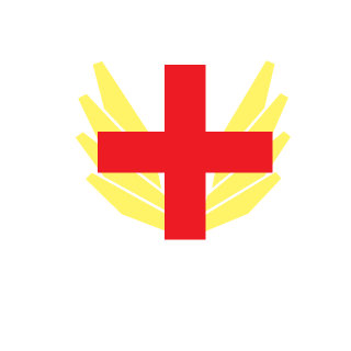 Ronaldinho l1's emblem