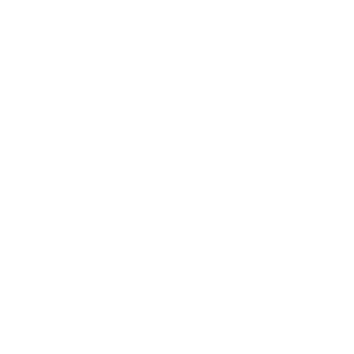 zertu's emblem
