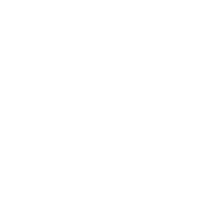 PhoenixOnTour's emblem