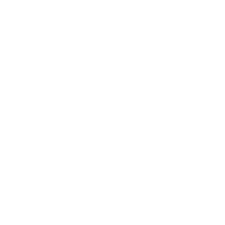 Wertan11's emblem