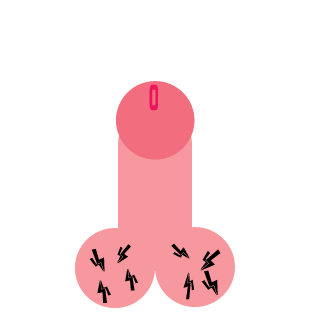 13roxterman's emblem