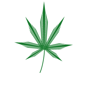 Piore54321's emblem