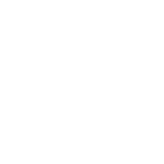 GabrielTwd1's emblem