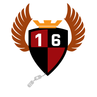 DarkRaider619's emblem