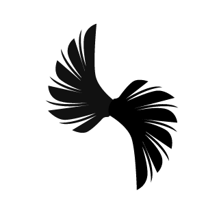 Fylipe12's emblem