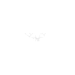 DeadGroundZero's emblem