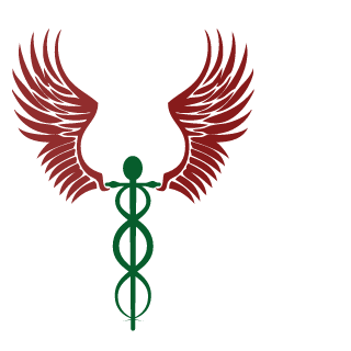 furious_noob's emblem