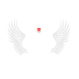 Fee1ix's emblem