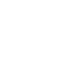NIKXSN's emblem