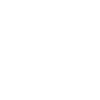 Dutchminer523's emblem