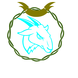 pierroT601's emblem
