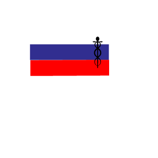 NeokoKadzumi's emblem