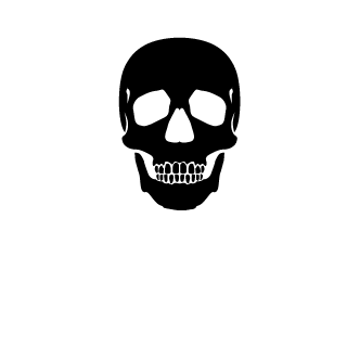 BeRsErKeR200611's emblem