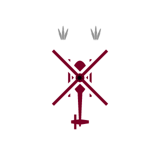 Nawzhin1's emblem