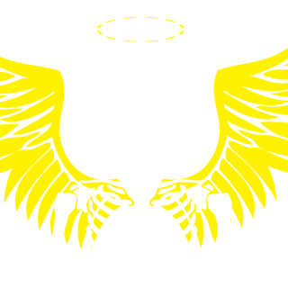 DanValeey's emblem