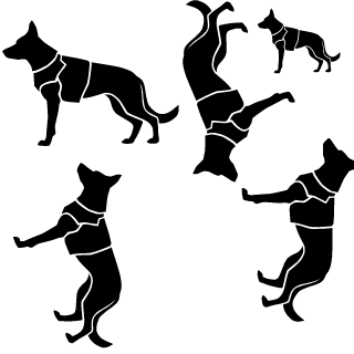 jk849594's emblem