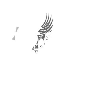 dragonbela's emblem
