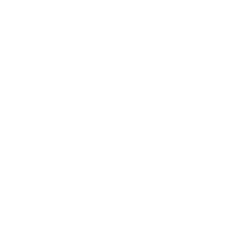 MAKS2039's emblem