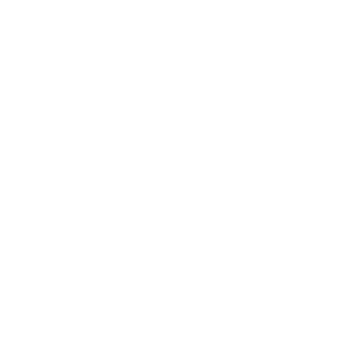 VvoidPhantom's emblem