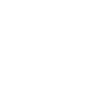 BVOMATIC's emblem