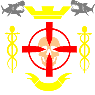 VasyDJ's emblem