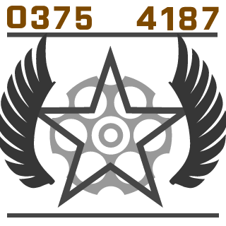 haydenMcp's emblem