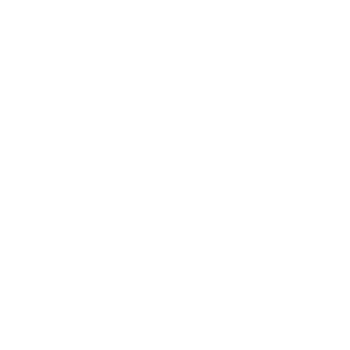 ShinZaemonMk-2's emblem