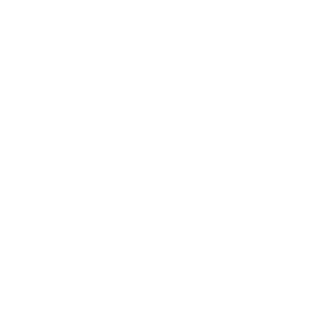 poppi-31's emblem