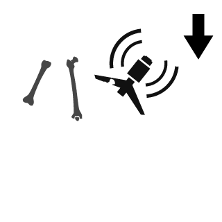 Bhask_XD's emblem