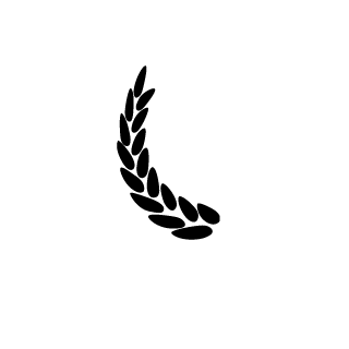 Tamir_073's emblem