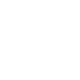 mech1300's emblem