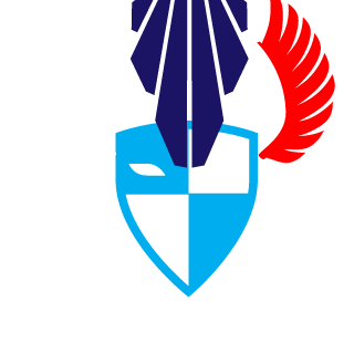 9614256d253d75ee's emblem