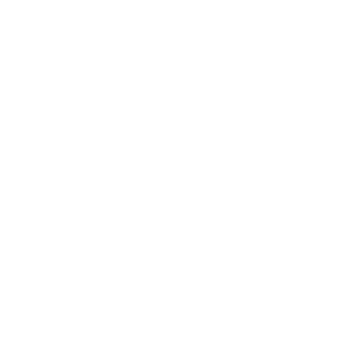 TehDNS's emblem