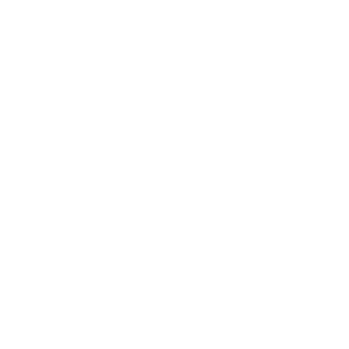 are216's emblem