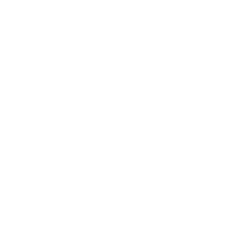 SrBerlini's emblem
