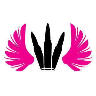 SaNtaCS's emblem