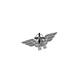 Hockypower's emblem