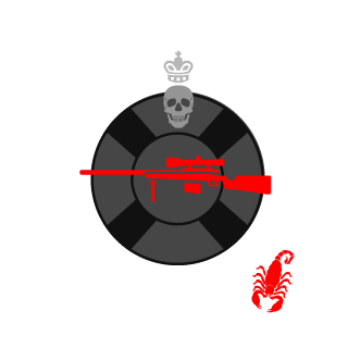 vKtMCSGO's emblem