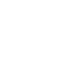 BrickScaleFish's emblem