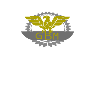 KFColossGBM's emblem