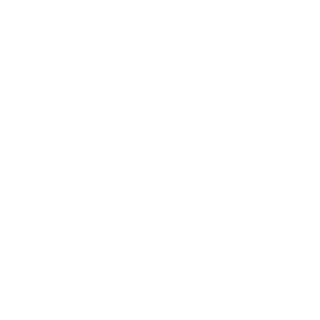 sino_2002's emblem
