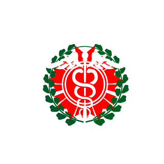 NadeRaider96's emblem