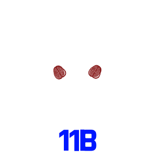Dr_Voddka's emblem