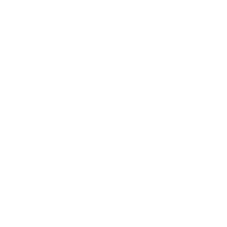 SUPER-VAA's emblem