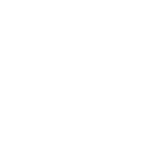 01_Red_Fox_'s emblem