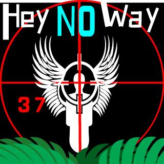 HeyN0way's emblem
